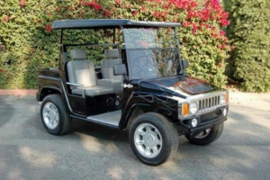 affordable golf cart rental, golf cart rent berkeley golf cart rental 