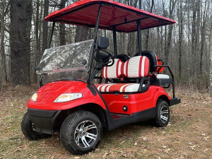 berkeley golf cart service, golf cart repair berkeley